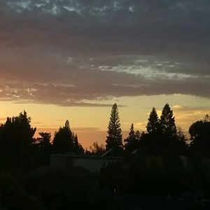 Meet your Posher, Theresa